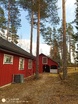 kaadettava puu